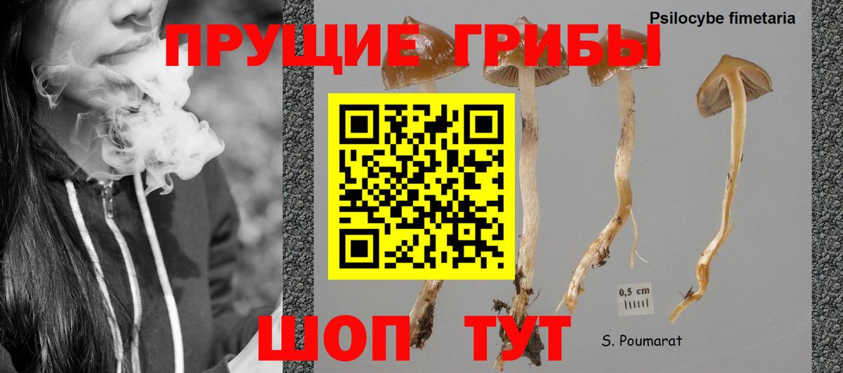 Галлюциногенные грибы мухоморы Югорск